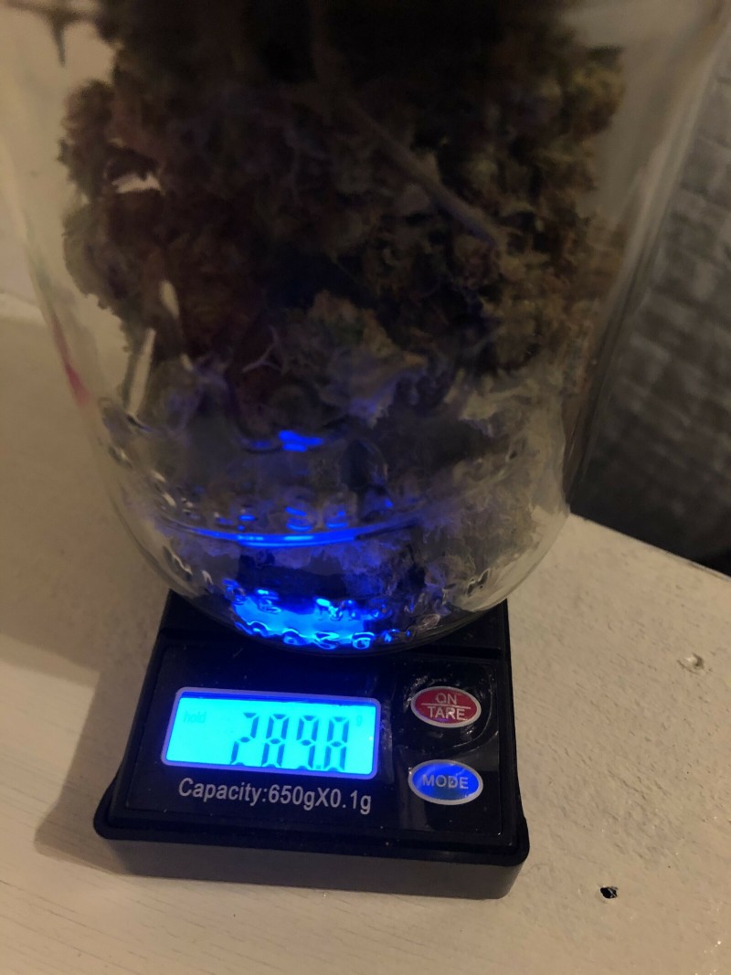 8327BDCD-F63A-46F2-A84A-521163E052CB