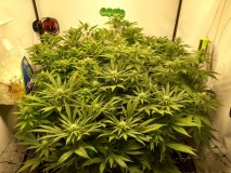 IMG_20200526_124030576_HDR