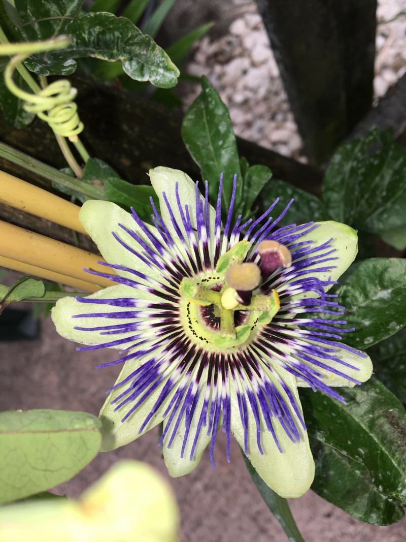 BA26AEA0-4F9A-48E2-B53E-BC0347C84BFA