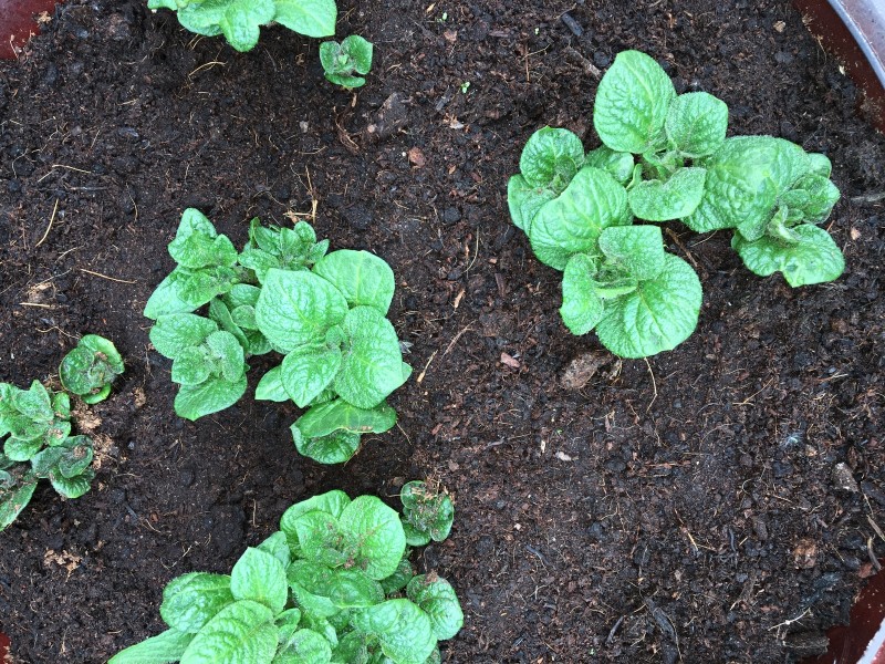 D6F19026-6832-4513-B454-91886037CFC0