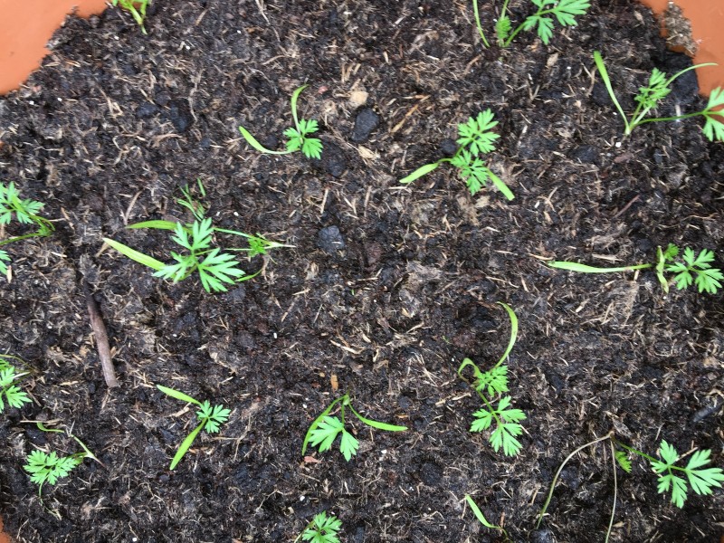 F9447816-1C99-43E3-A3BE-1C368A3EEB23