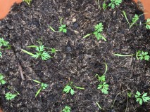 F9447816-1C99-43E3-A3BE-1C368A3EEB23