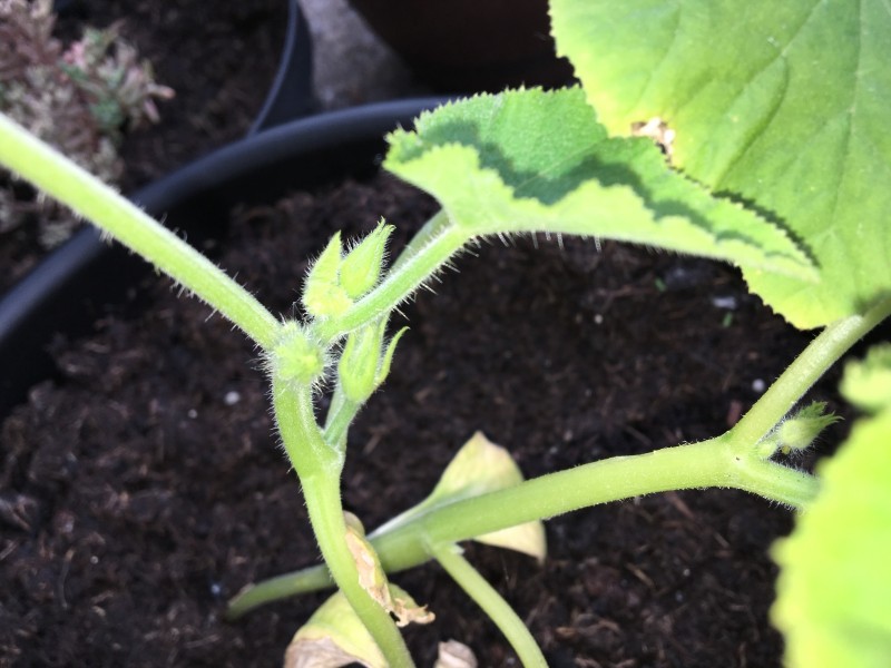 697F47D2-530D-4539-B8ED-5E94D19B843D