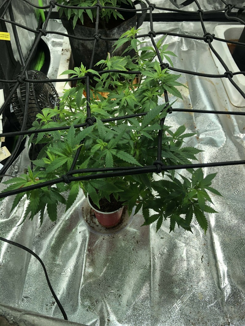 9E95E9B9-E76F-4119-9CC0-1ADF2153D195