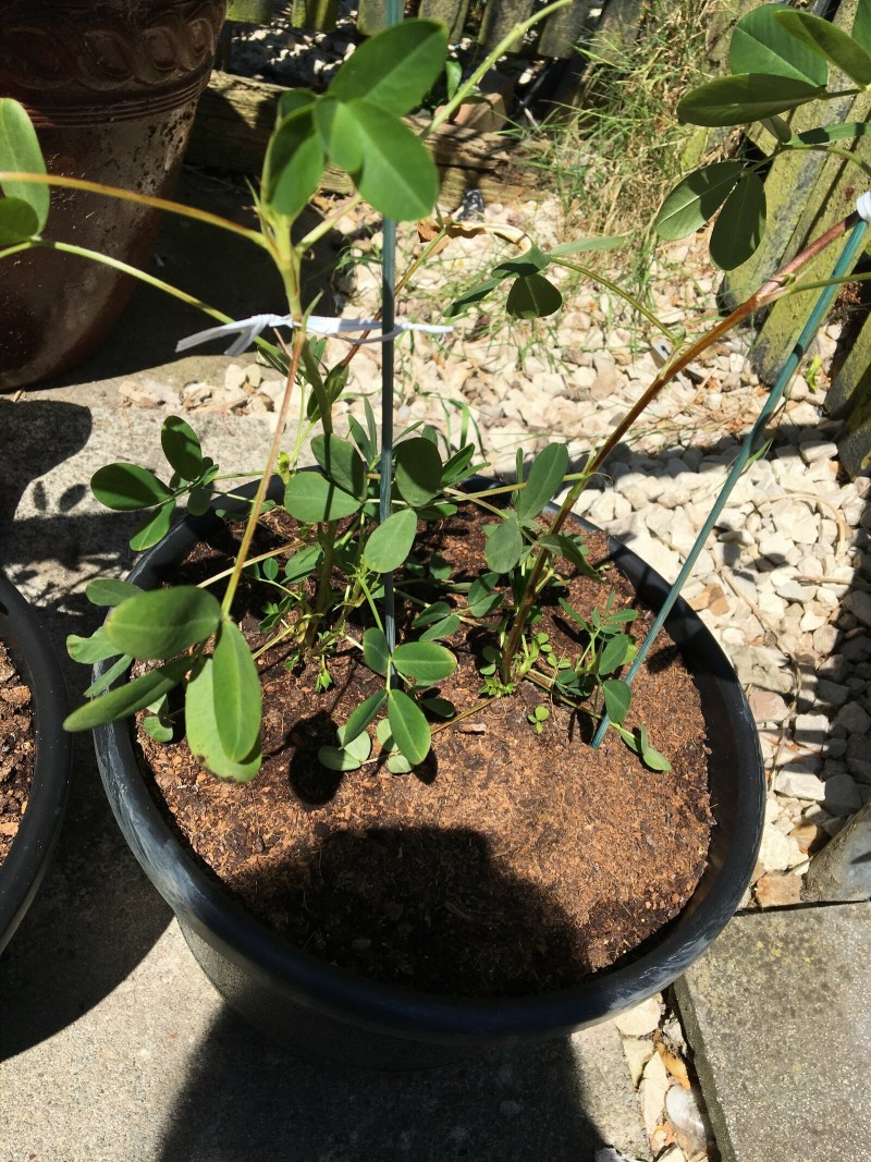 16379FD2-A8E8-4941-B4F1-954E61299252