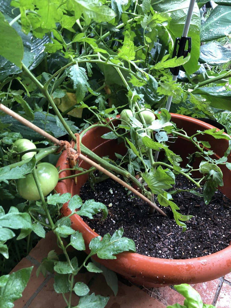 EDF27CF6-1C1E-4F60-B302-69ACA08F1197