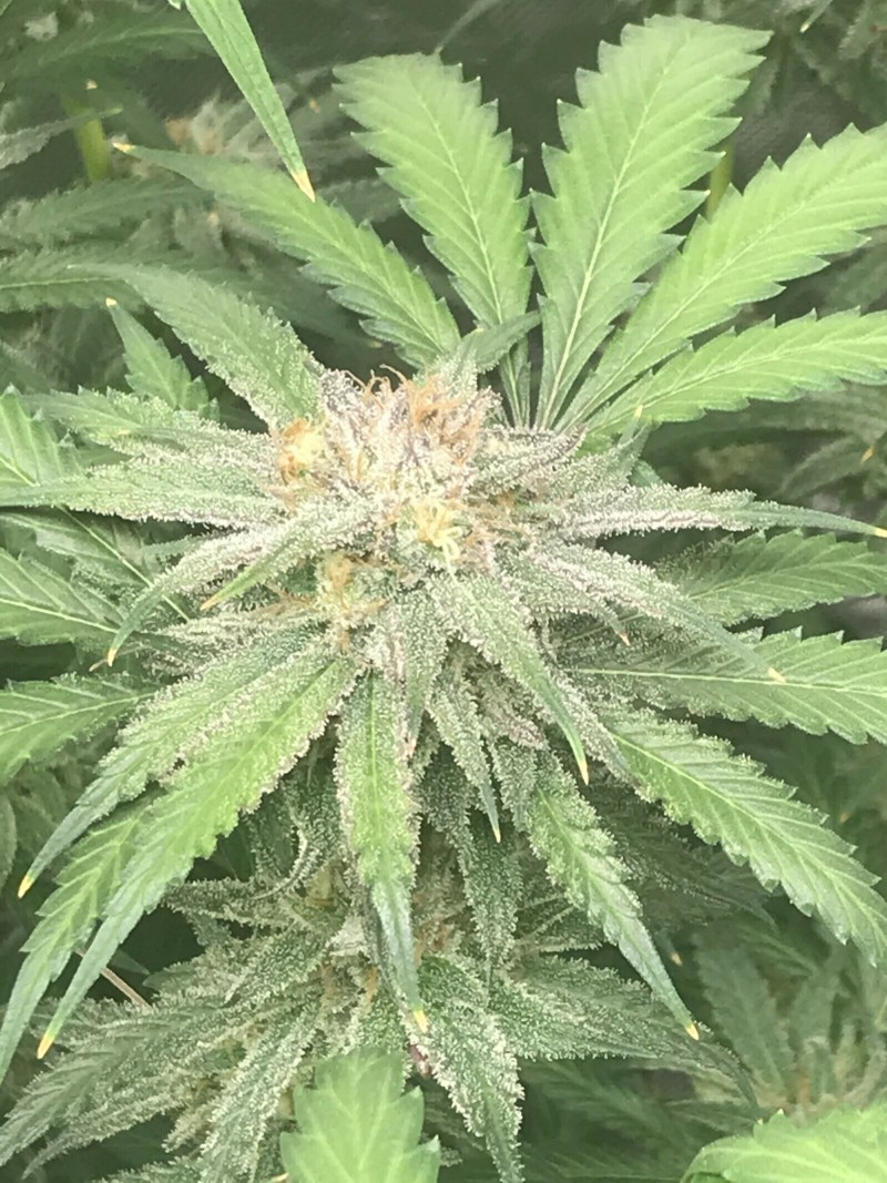 B6EB1490-047F-49B3-AC95-295FE6007310