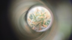 DSCPDC_0002_BURST20200527100611374_COVER