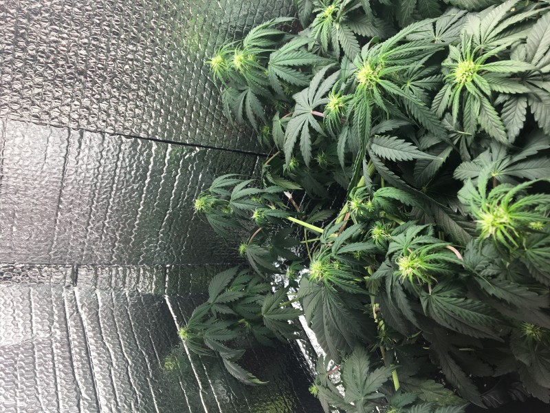 3C74B79D-9A1C-4013-86B9-24F513359402