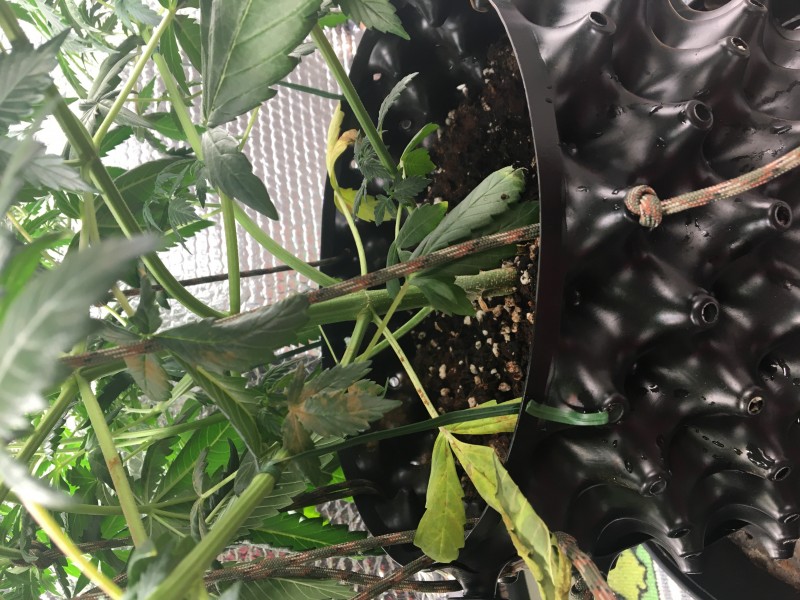 3C99B806-98B0-4E6B-BB72-DAFE2564E853