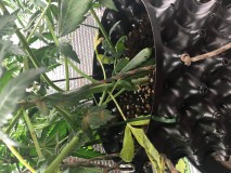 3C99B806-98B0-4E6B-BB72-DAFE2564E853