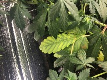 ADD7BA1B-8CF4-4BEC-8B18-F599A61AB49E