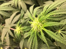 92653067-AC66-4158-9FEB-DD2A7EB520F0