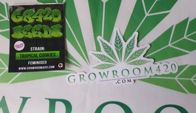 A3533560-436A-47C1-BC9E-EB766FD53F22