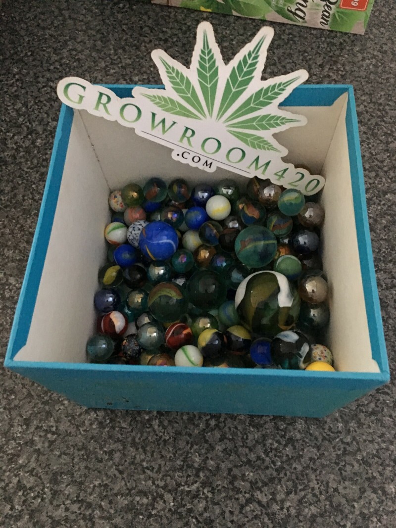 0A898E5D-D267-4E9F-8FFB-8675CB3E1EBE