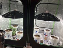 64906978-672F-4B7A-A4DB-6AD102FC91B5