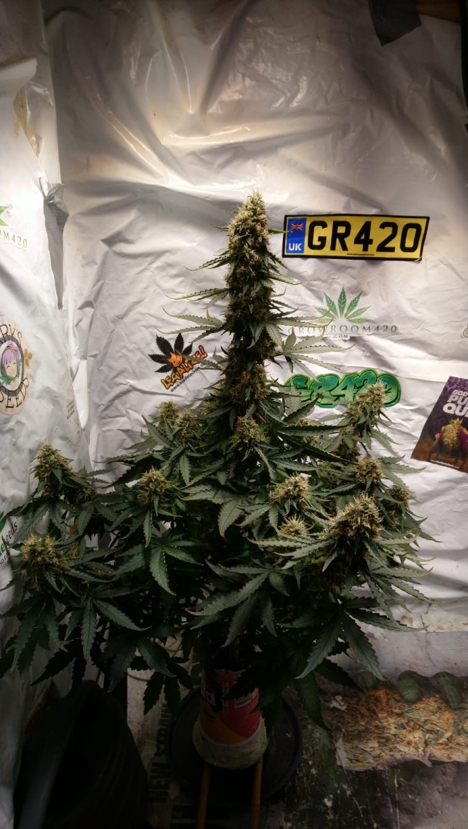 5D669133-D758-494C-9906-19689B822F95