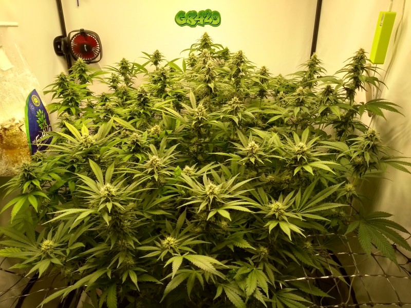 IMG_20200602_163212863_HDR