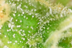 Photo on 04-06-2020 at 23.15 #2