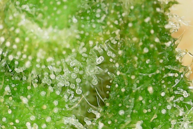 Photo on 04-06-2020 at 23.14 #2