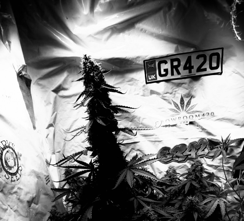 E465C330-B9DE-4D1C-8A46-73EEC562FF46