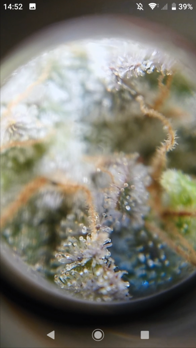 Screenshot_20200606-145248