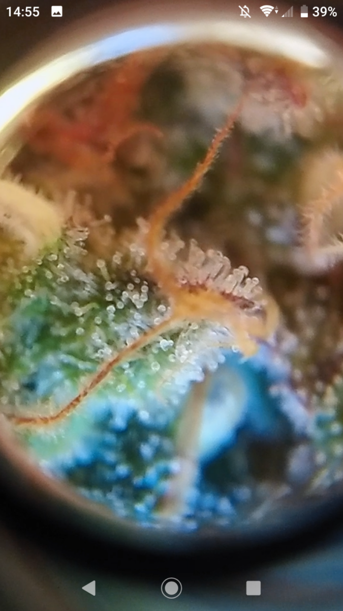 Screenshot_20200606-145515