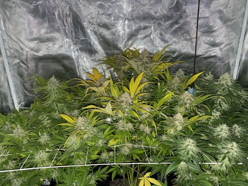 F732D2E4-CF94-4AF0-BD4A-2C5FB68BAA8C