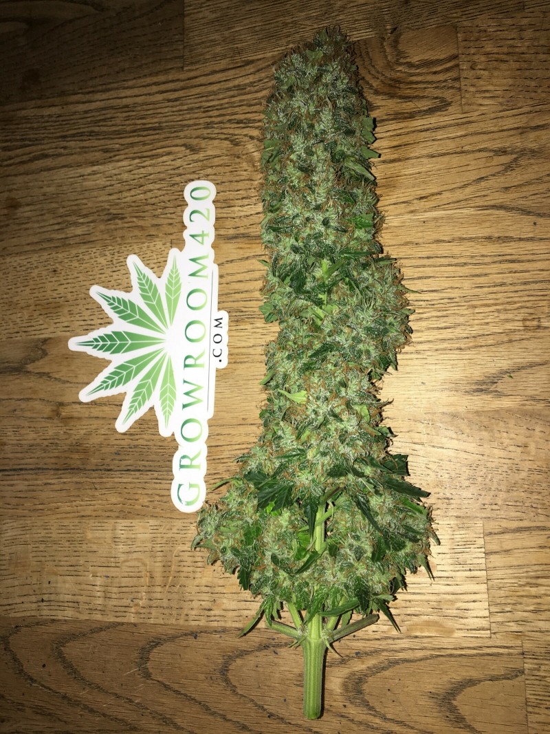 FDF3222A-8D42-4D11-A463-3B38B7475B92