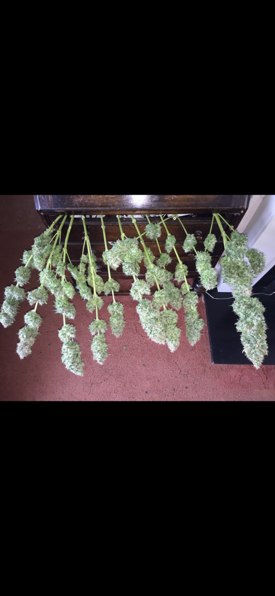 699E41B1-0179-4900-9FA0-513DD60CC3C9