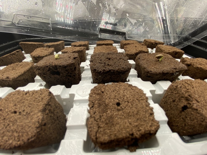 550B0086-D996-4569-9024-D90D5EF2A646