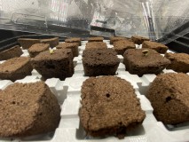 550B0086-D996-4569-9024-D90D5EF2A646