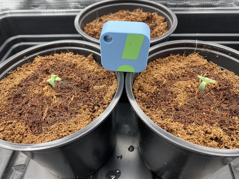 BB766274-85BF-4DE4-8664-92E30D2FC4A0