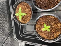 FE838269-1DF4-4DA1-8893-D25D73A4CE06