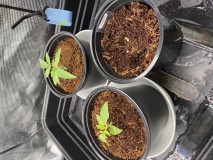 C8AADF85-4AEB-492D-A664-74F3DA6CE51E