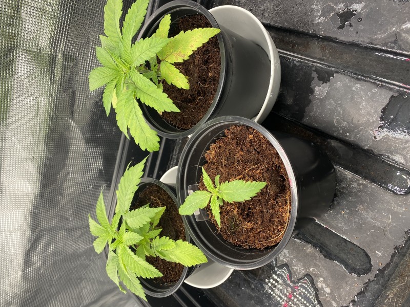 5EA948BC-4518-44CA-995E-4C3D25658E0F