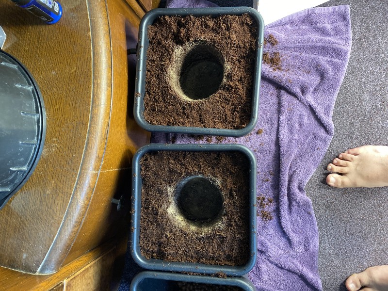 B0C2259D-4F54-4C9C-9589-711C9DA80164