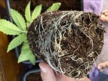 79FADEC8-AAD9-48AA-9AB0-098E4DD230CC