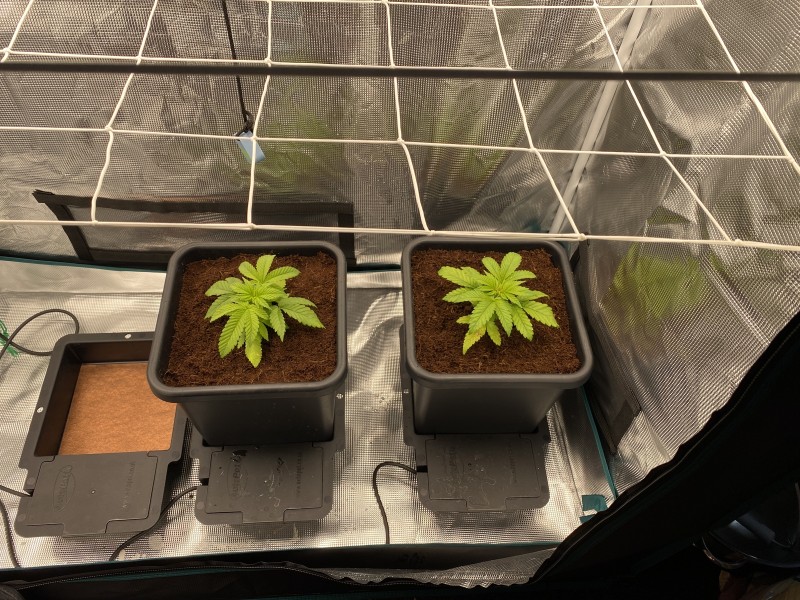 4BEFC4FA-2C1F-4BE4-868E-F9436DF31AE8