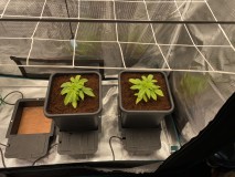 4BEFC4FA-2C1F-4BE4-868E-F9436DF31AE8