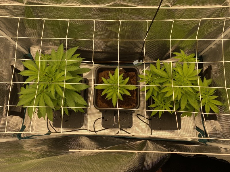 95D1914D-F7D6-4450-8011-480DD034DA6B