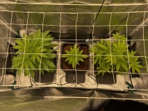 95D1914D-F7D6-4450-8011-480DD034DA6B