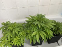 3212257A-3AF9-4137-B43F-5AC8CBC3541F