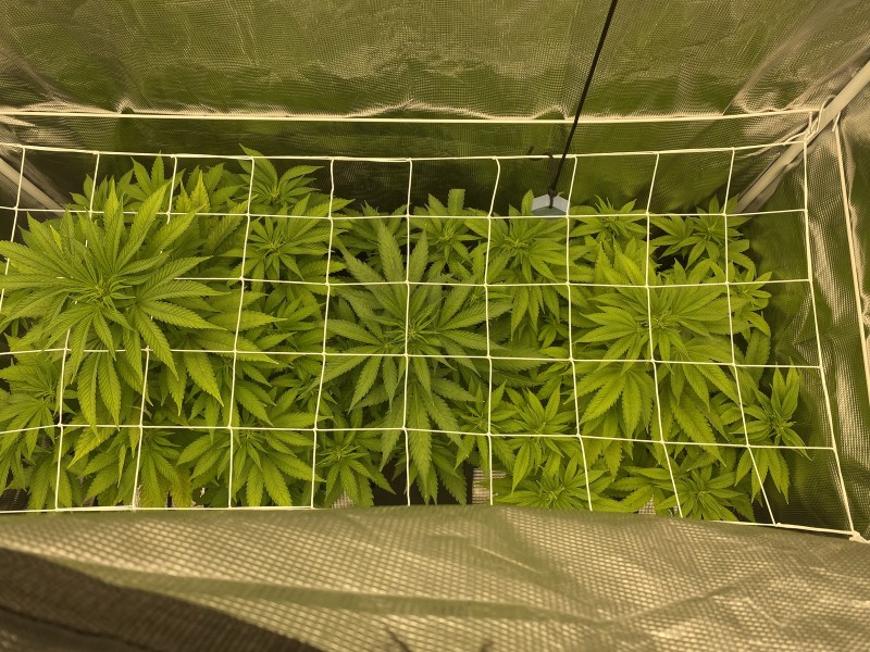 8D1D29AE-F5EF-4247-9C00-EBEABA0B17D1