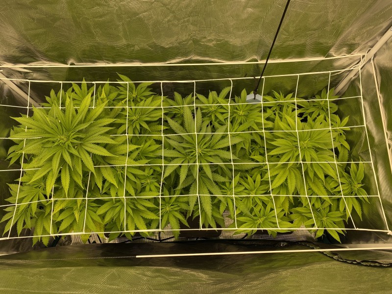 3BB1400C-97C1-4E0C-9CF8-F6F394A50729