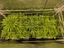 3BB1400C-97C1-4E0C-9CF8-F6F394A50729