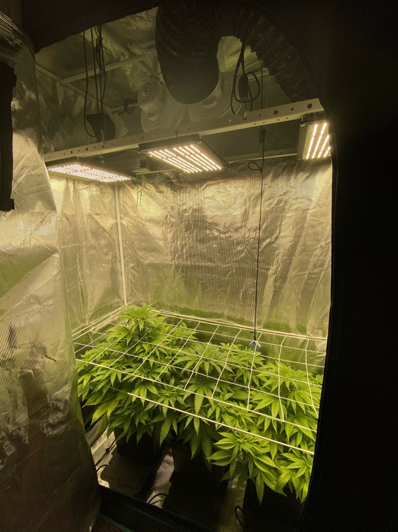 D4ED6CE4-3045-47D1-B434-9B8F065B99B6