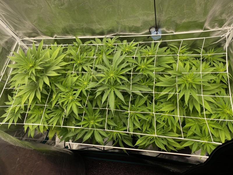 D6D36C2B-1780-4F55-B8B4-3E3B3951D9AE