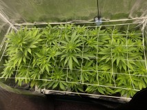 D6D36C2B-1780-4F55-B8B4-3E3B3951D9AE