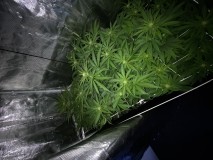 0DDC34A4-9D48-47EB-9BB3-BB3EFE63B620